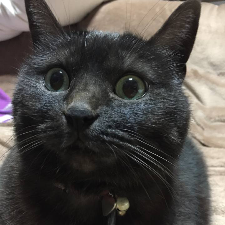 7c6aae32 9a4d 456e 8d99 fc42edb46cda