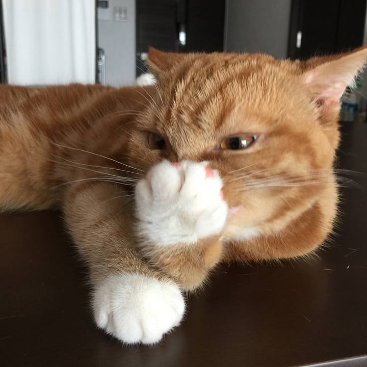 7c6affb3 cc92 4b38 a5e9 29ff243d8df0