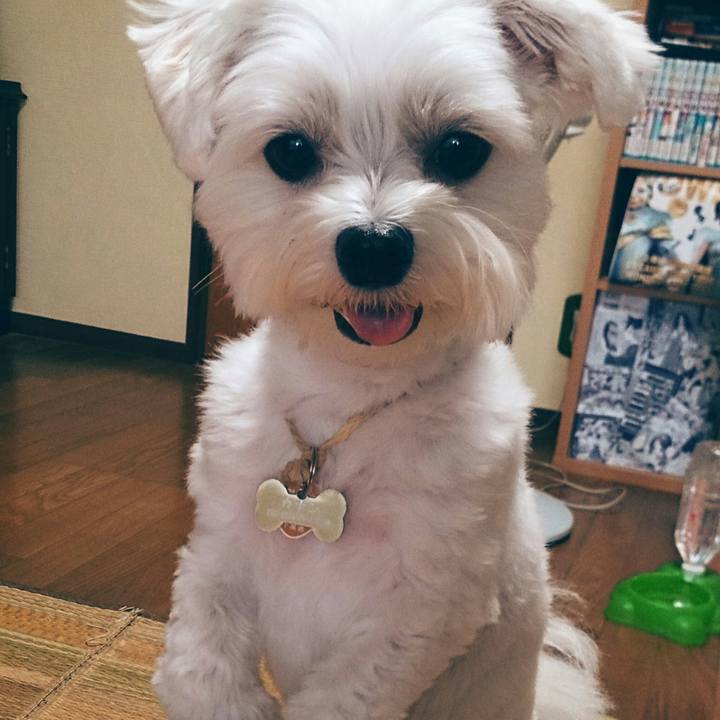 7c6b1e05 2012 4da9 81ed 1f9c9d488e9c