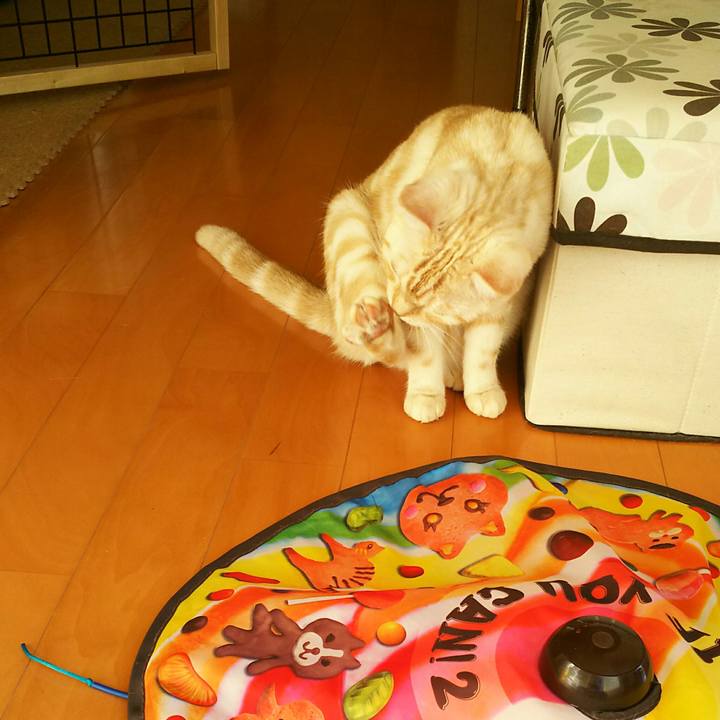 7c6b6b2b f20a 44ff b06e 91c710602743