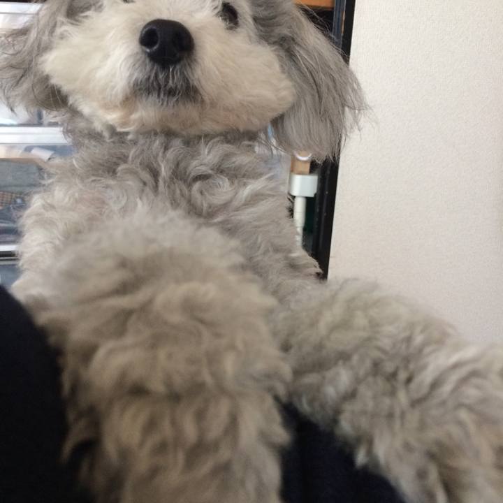 7c6b8c87 a2f9 4b85 8bec ce3cddfc2d7b