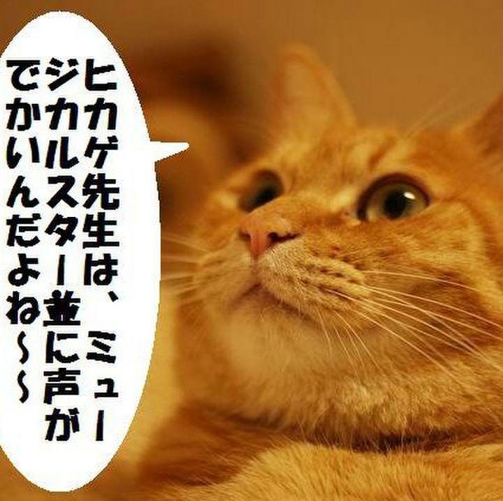 7c6b8e71 b9a8 4314 8489 e414bc205a63