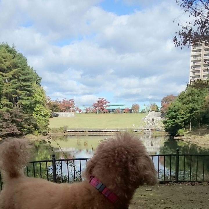 7c6c38f4 0754 48cd ac3c 373e698d0323