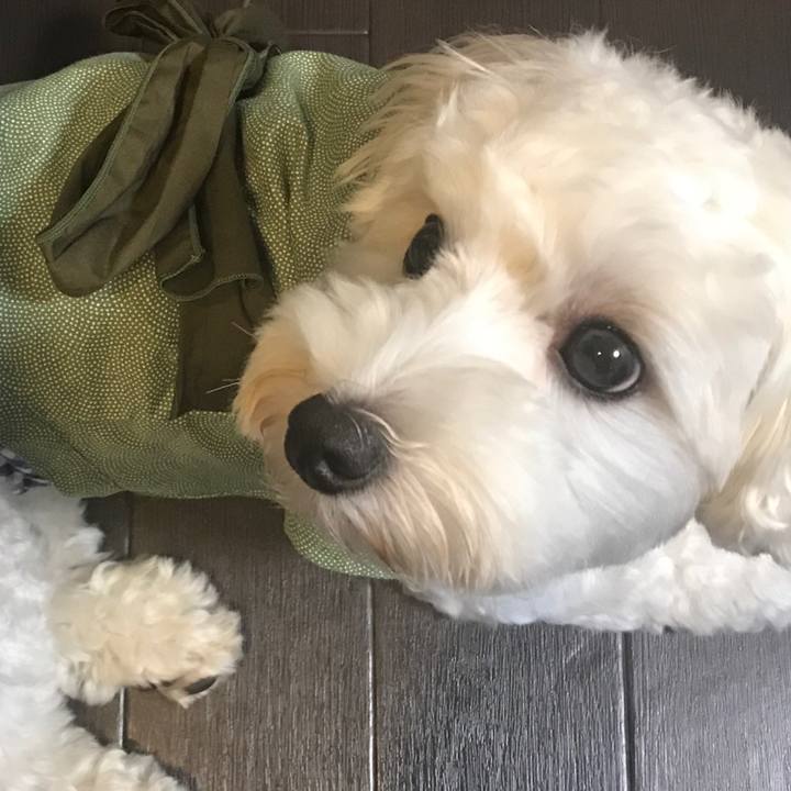 7c6c5a72 aef3 4105 9ac4 fb8a0bbe05db