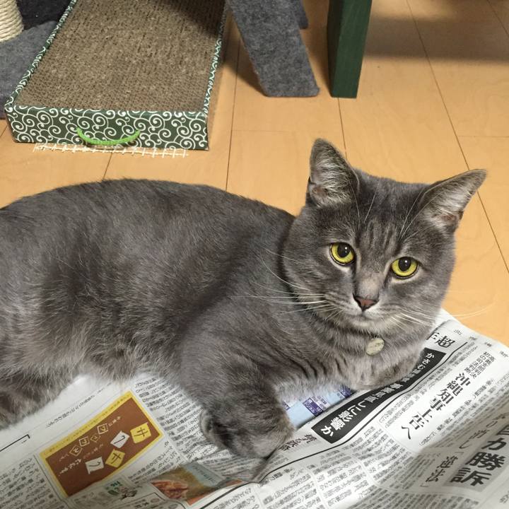 7c6cee0b 2ee2 4314 857e 46f93f520862