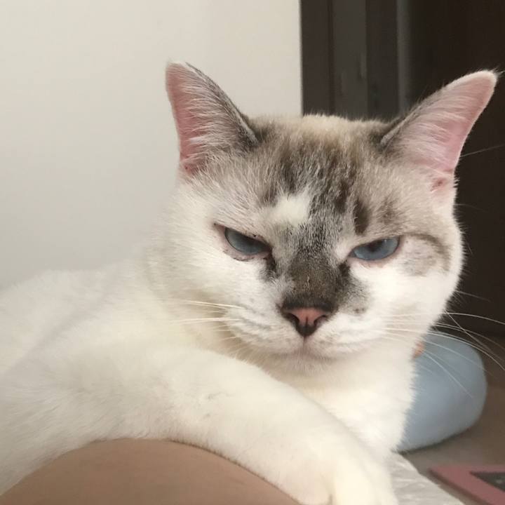 7c6cee94 e28e 4d7d 8a2b 7e4eabad750b