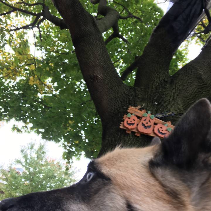 7c6d0167 a97c 4e1b 8b85 030c15d7252c