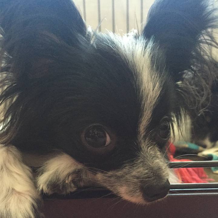 7c6d2018 294a 4caa 8086 2896f9500a95