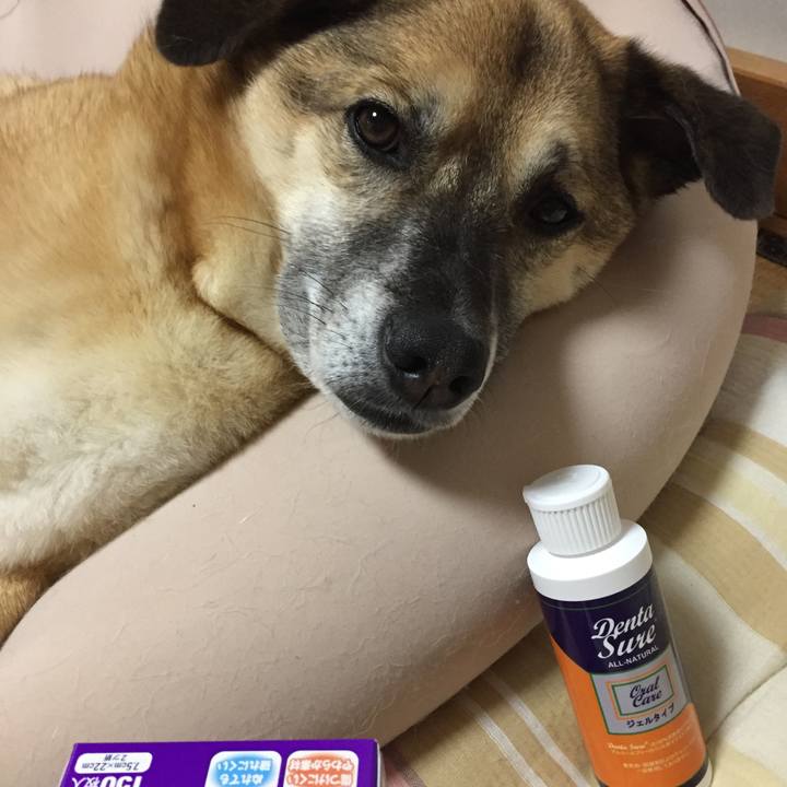 7c6d91fc 244a 43f4 b295 bbc914cee3e2