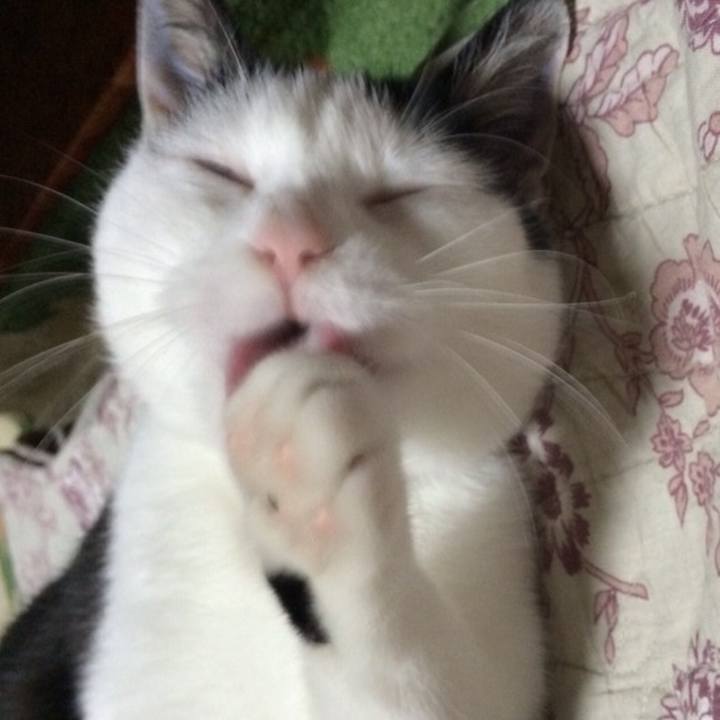 7c6e374a 1f2a 4384 bb01 a81a2502b3dd