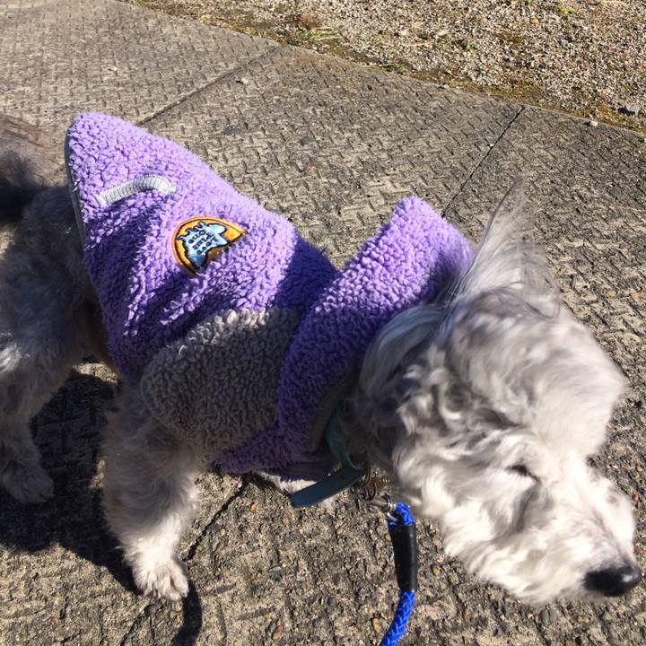 7c6ed2b7 1e1f 474a 8c31 b586f8ae2f9e