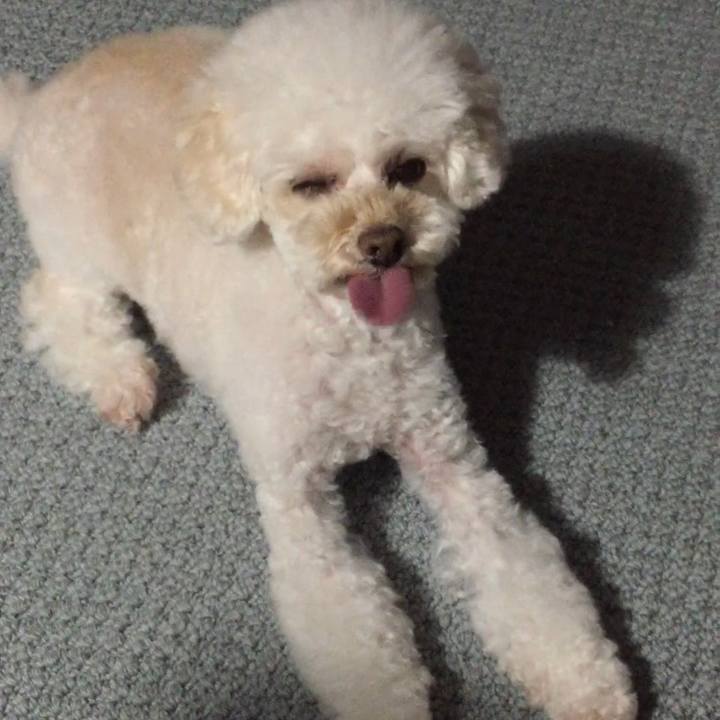 7c6f3968 d4c0 4e85 bc44 c256ebbbfb33