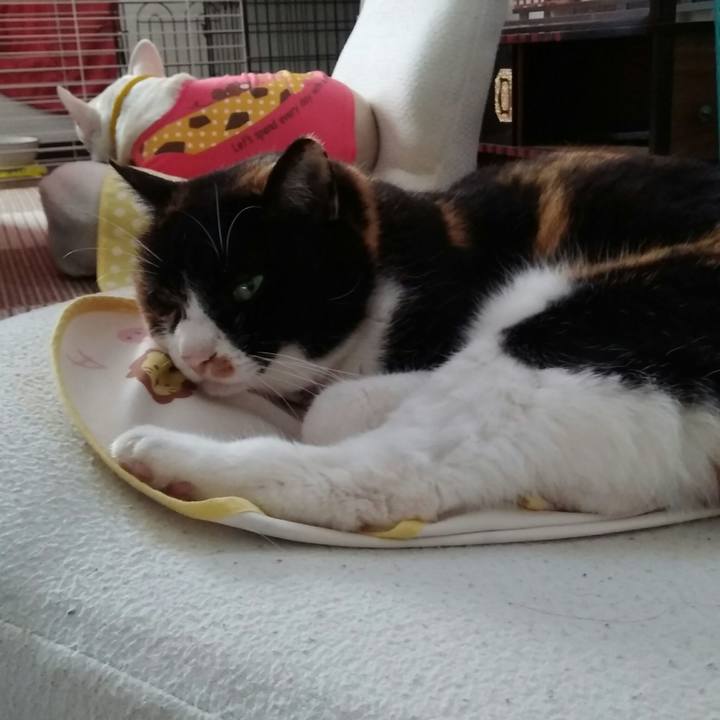 7c6f3e45 62f2 400c 91e1 33d0c4a6e5f6