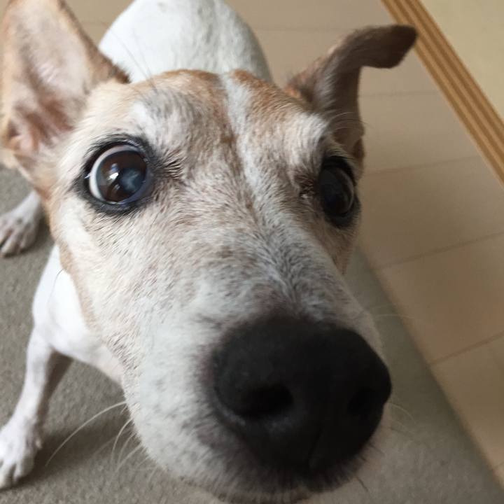 7c714aaa 78c2 4871 b4ff dfa789e854b6