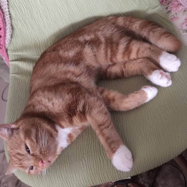 7c721665 bb69 4eaf ab5e c656d3bd3759