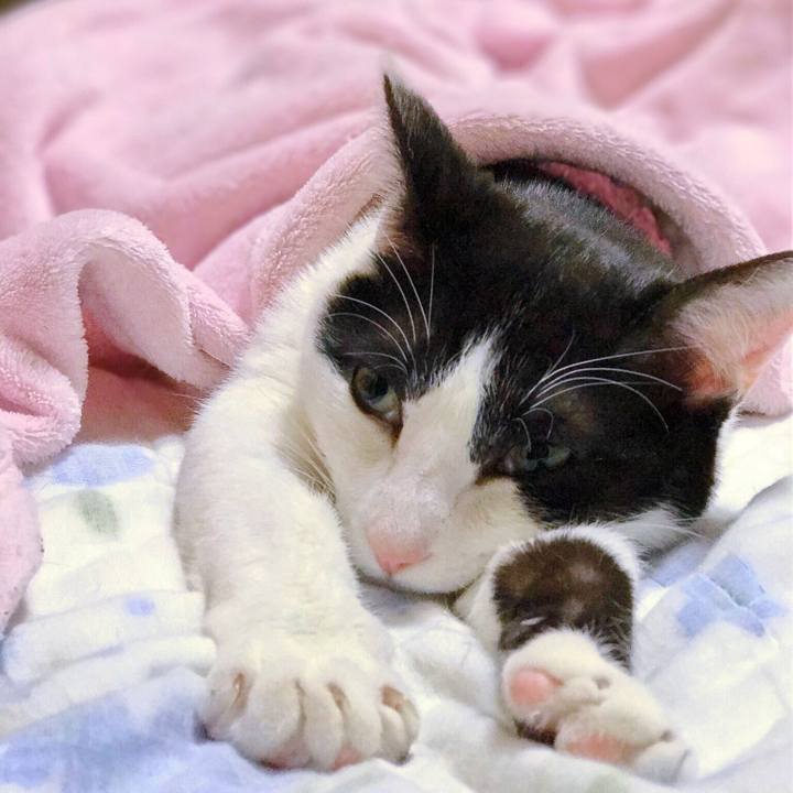 7c724bd1 361b 4809 a068 aa96230cbc5a