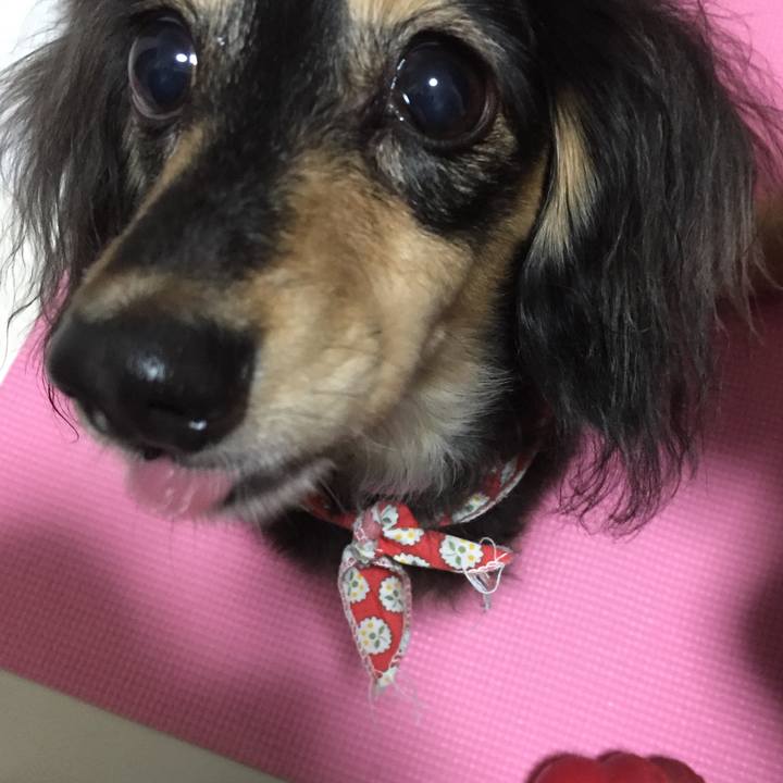 7c735d31 32cb 448a 9f34 e907a4ef0861