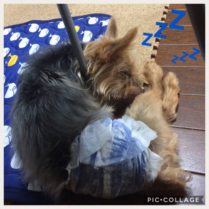 7c735ff2 aa1b 4558 b853 10d82ad24188