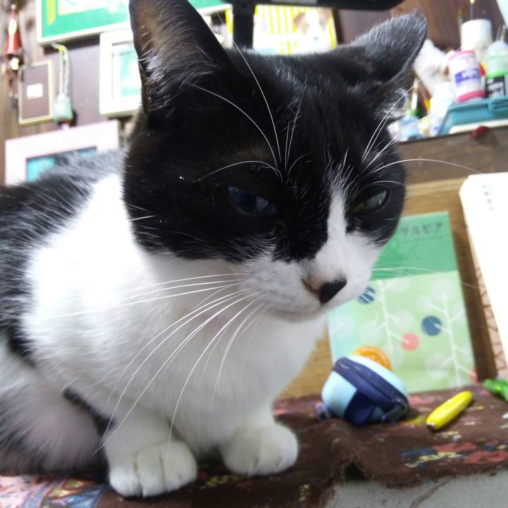 7c73666d e76e 4f03 8f9e 5e9acc958c71