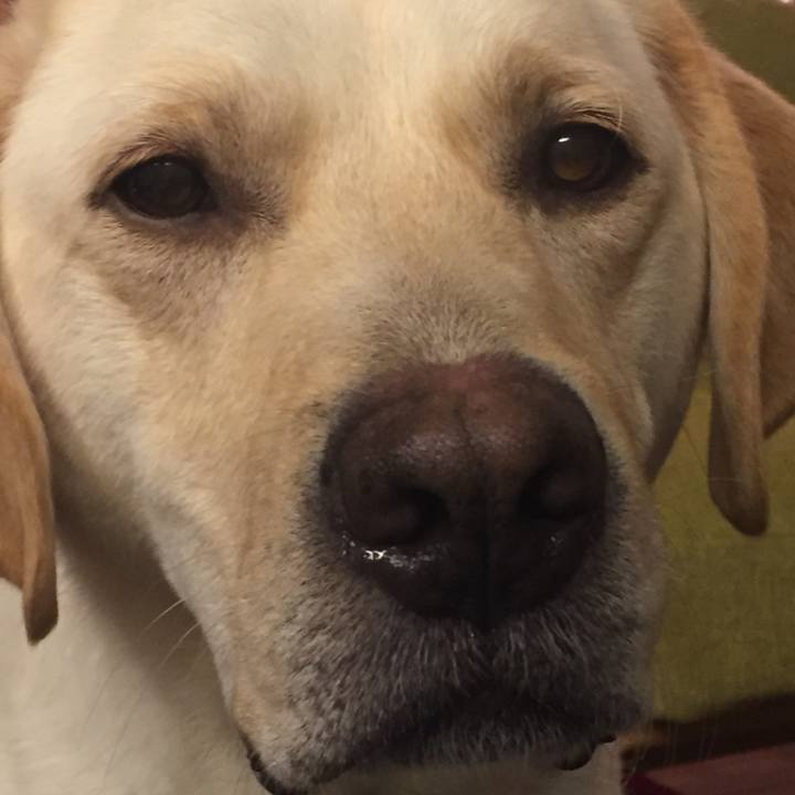 7c738736 1157 4836 acc9 f84087cbd4a5