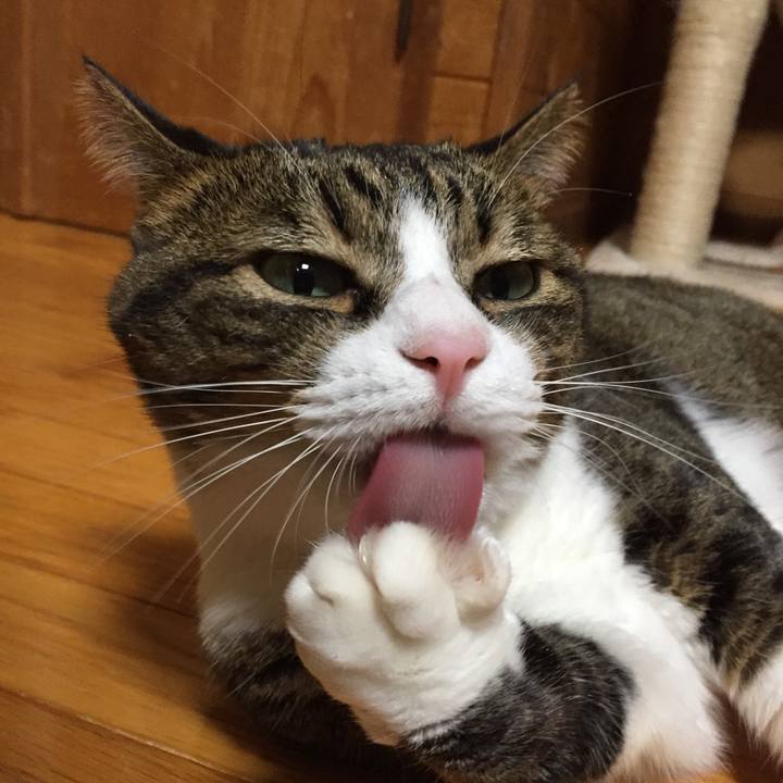 7c7392a5 2ece 4c8a 9d34 f88b88d0a63c