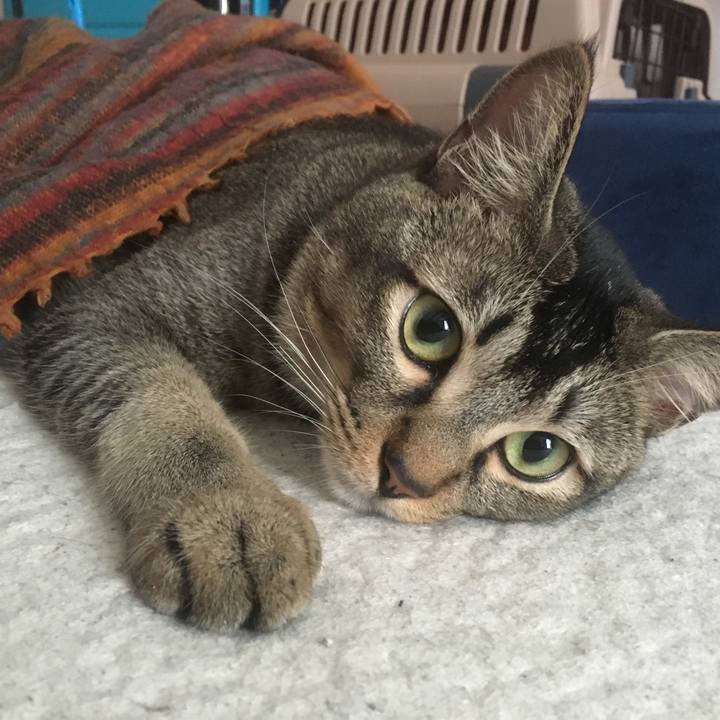 7c73c159 75e2 4181 ba6c 41f716a3c08d