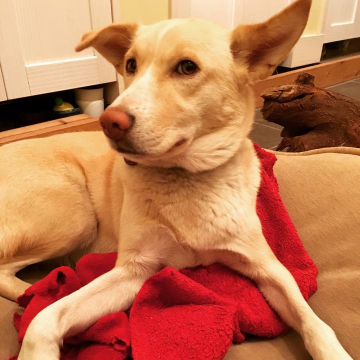 7c73f8bb b254 4443 8c22 4e9f79ba5474