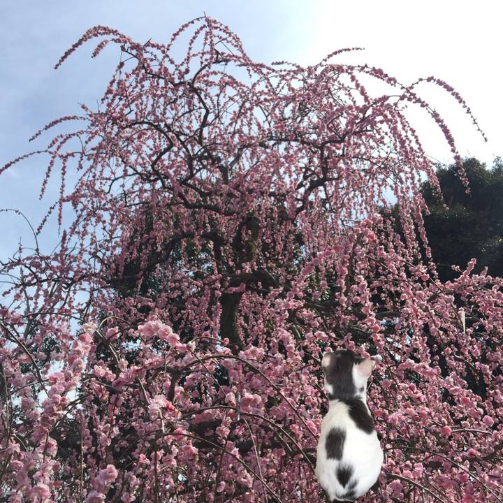 7c73fda0 e601 4019 95b2 e9f6b5e94b41