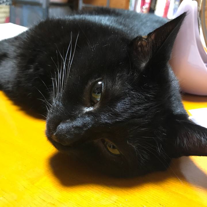 7c7420e3 89f3 4beb b6b3 9525bfcd0424