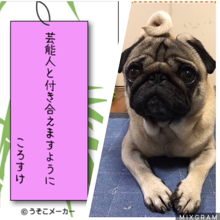 7c7435db 09da 4e90 89d7 69aa9f32fa18