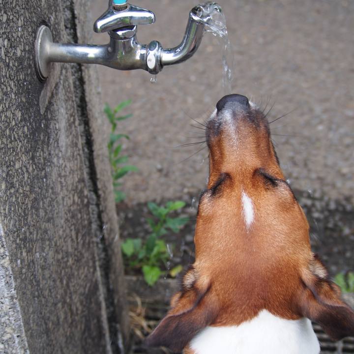 7c746c3f ea7d 48fb b98c e6e35a54f560