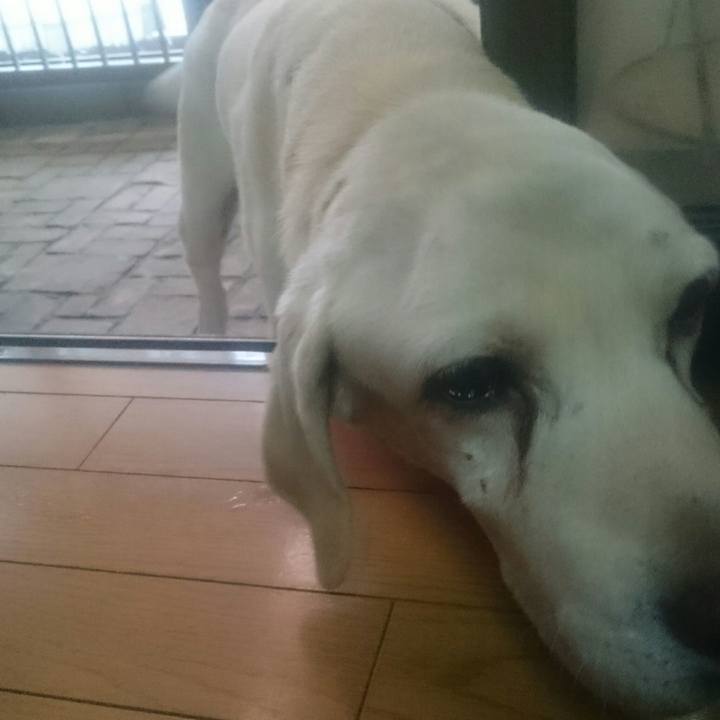 7c749790 c56b 445a 98b4 bf91e7a42d85