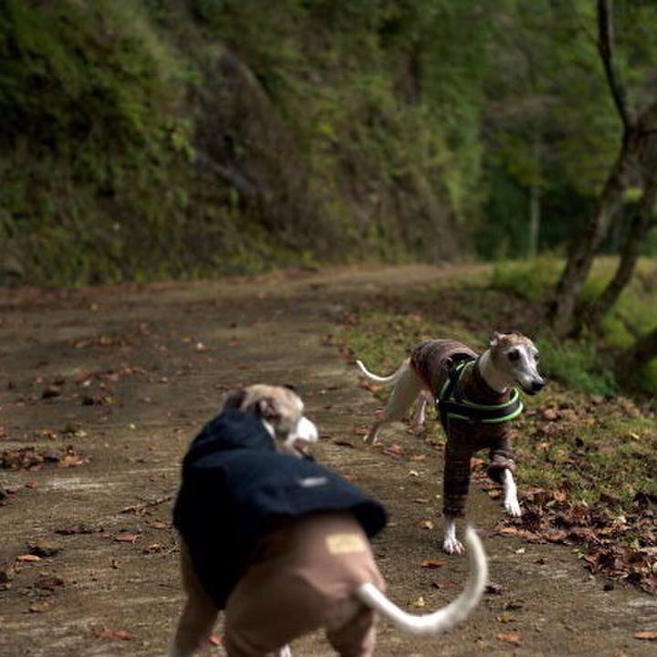 7c753ecd b08f 41a3 808f a259143633a0