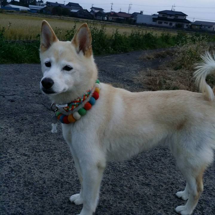 7c75eaf4 a3ca 4490 b948 3541689f11c6