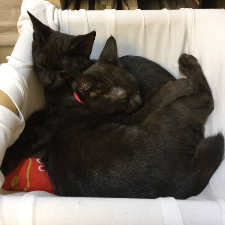 7c760ab2 393a 46d5 bf0b 4ea131ddc70a