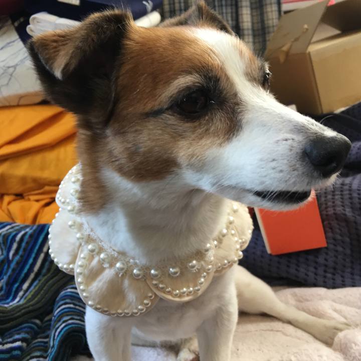 7c7669d2 d83f 4624 82d4 7c20592634fb