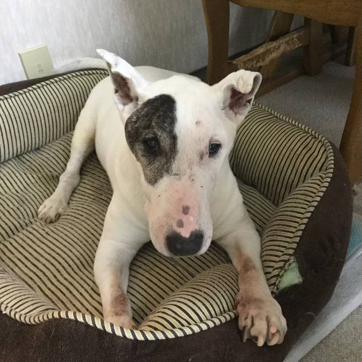 7c769518 513d 4db3 acdb 5c976d782921