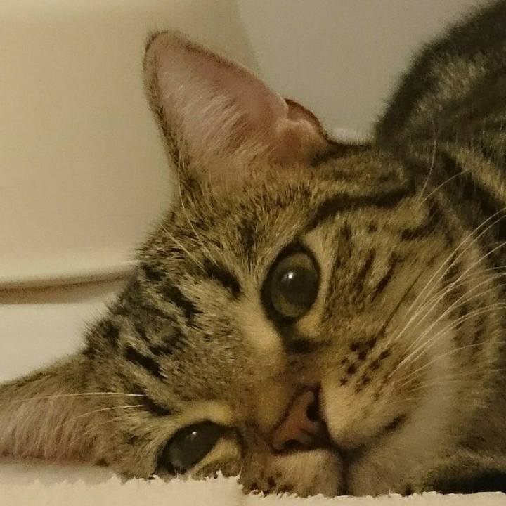 7c770f29 b0b4 412a 956a 4c5558107bac