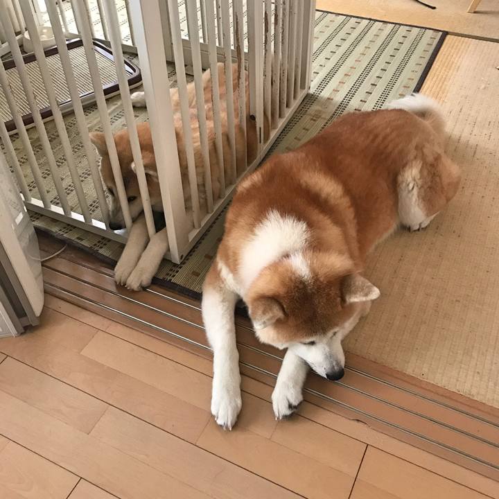 7c771c71 6a35 46b4 980d 242387918de7