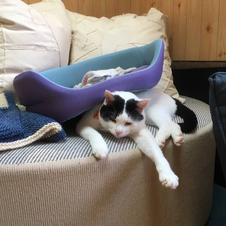 7c773695 087c 4076 b647 7fca9f5e02d9