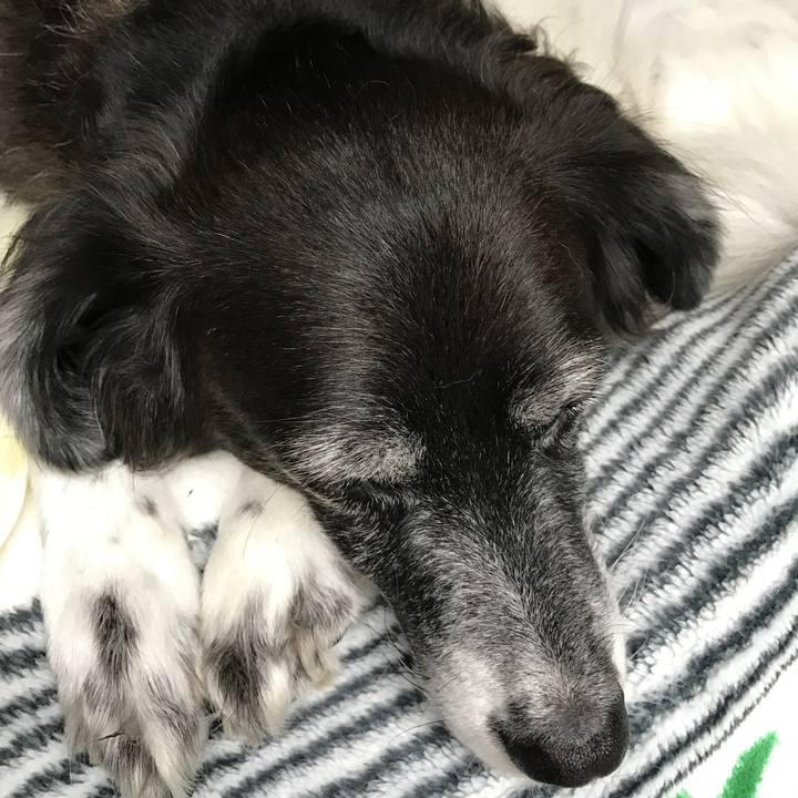 7c774f07 c508 45d2 a448 b090a78f8ac2