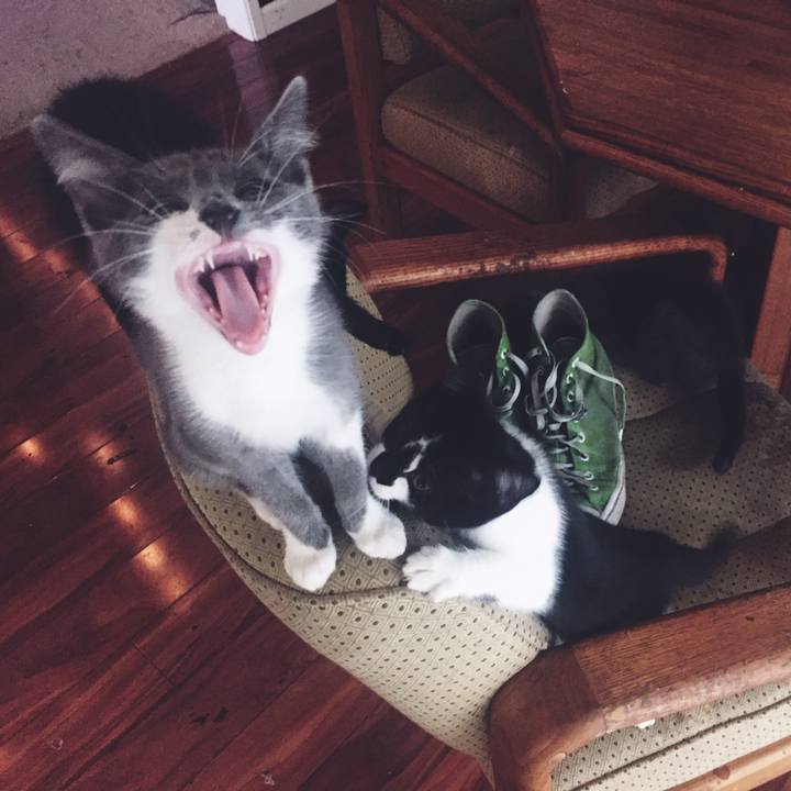 7c780e07 9b87 4785 8108 f3afb65737c8