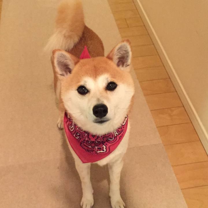 7c7836f2 a8ce 49fe b944 3d200b7fb97d