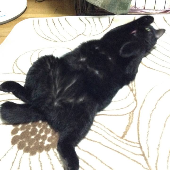 7c78a42c ff15 4ae2 a69d 893b867d0c24