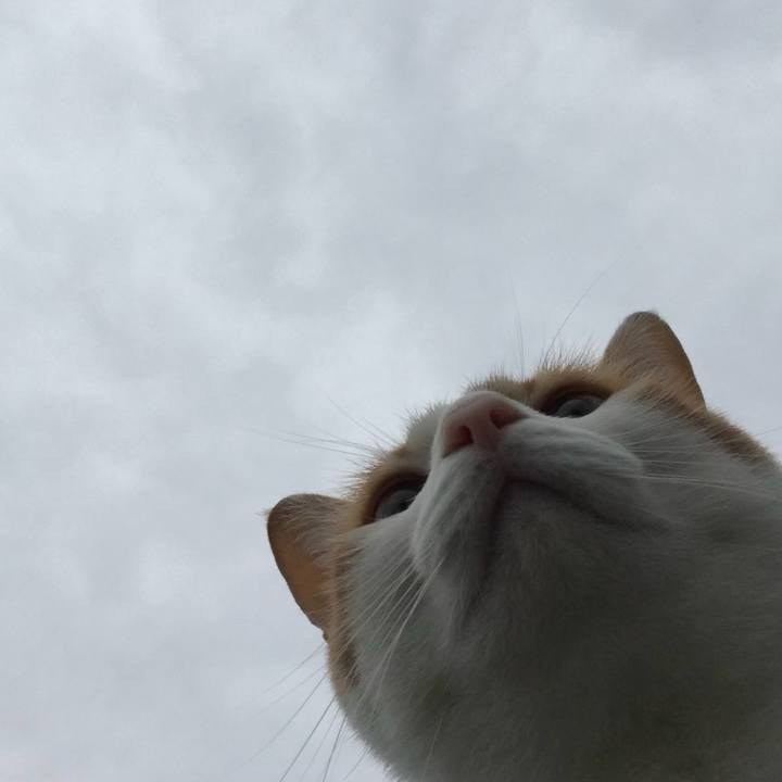 7c78c855 20ae 4e8d 8e66 3691c3518c6e