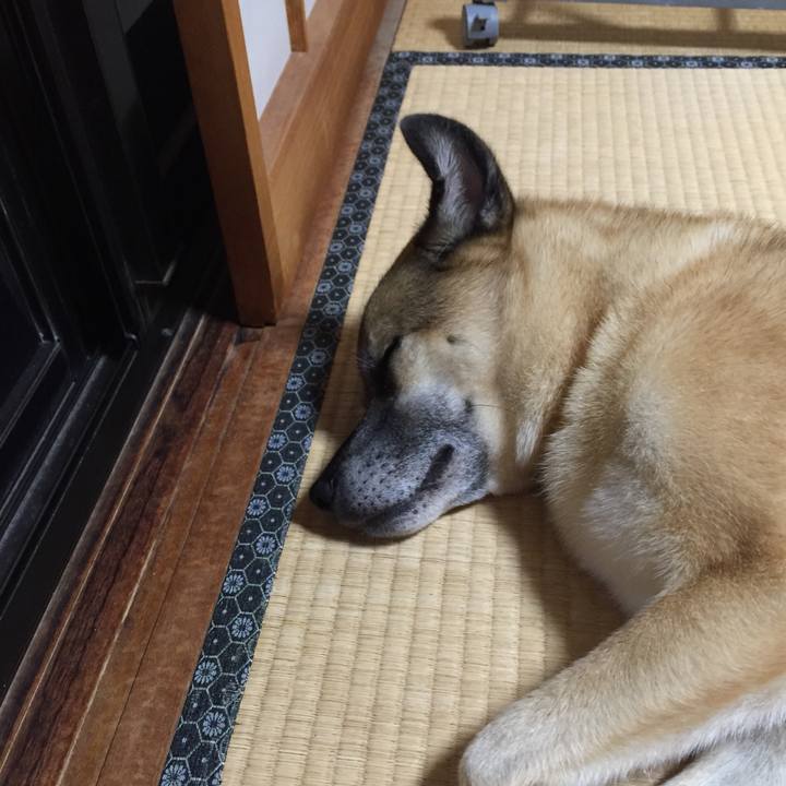 7c79ec15 4c2a 40c5 a4c1 6a8e0a9a497e