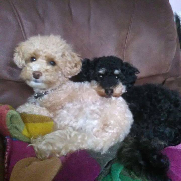 7c7a76ba 3e5b 4cfe 88ec 5481ade70c9b