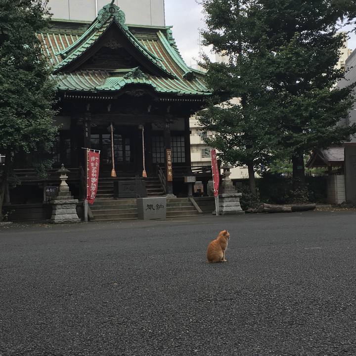 7c7b133b de96 465f bd4d cefc446d09e7