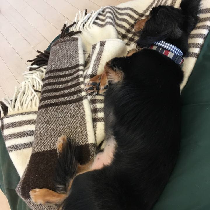 7c7b8e91 0c49 474c 8733 66ab4b7adff4