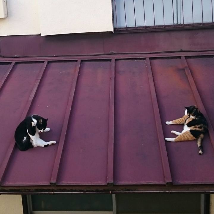 7c7bfeff 3a3d 479e b3ba 295d6b2614e1